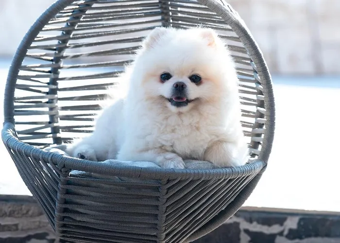 Sea View Hills Szálloda *