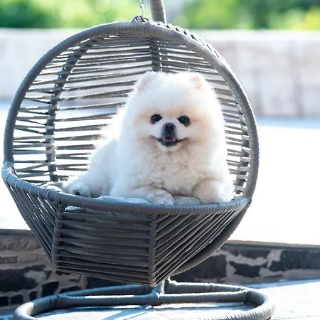 Sea View Hills ホテル *